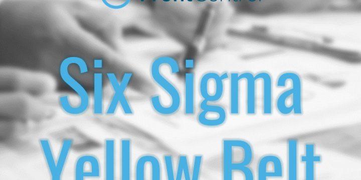 S06-online. Metodología Six Sigma, nivel Yellow Belt