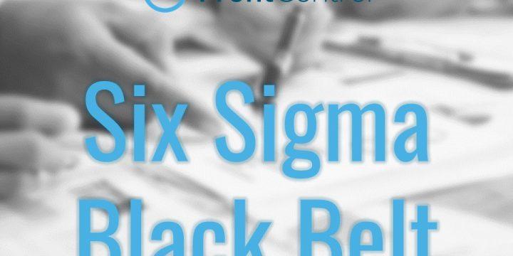 S04-online. Metodología Six Sigma, nivel Black Belt