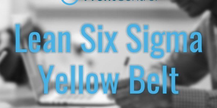 S03-online. Metodología Lean Six Sigma, nivel Yellow Belt